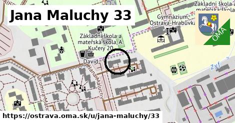 Jana Maluchy 33, Ostrava