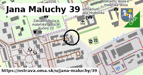 Jana Maluchy 39, Ostrava