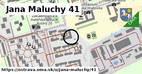 Jana Maluchy 41, Ostrava