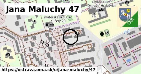 Jana Maluchy 47, Ostrava