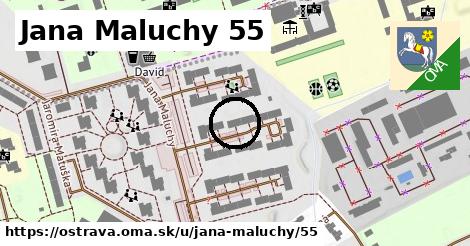 Jana Maluchy 55, Ostrava