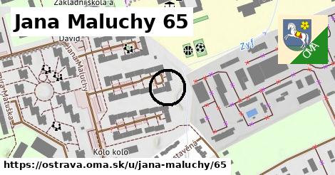 Jana Maluchy 65, Ostrava