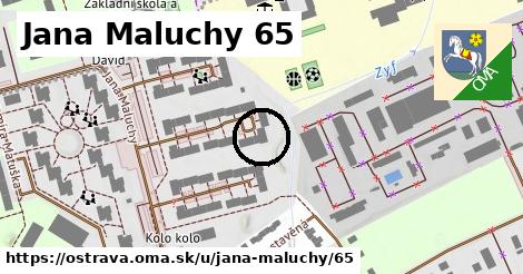 Jana Maluchy 65, Ostrava