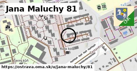 Jana Maluchy 81, Ostrava