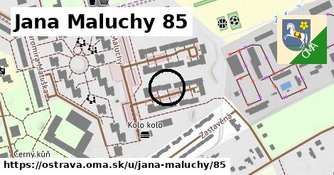 Jana Maluchy 85, Ostrava