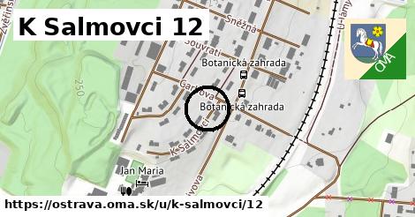 K Salmovci 12, Ostrava