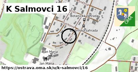 K Salmovci 16, Ostrava