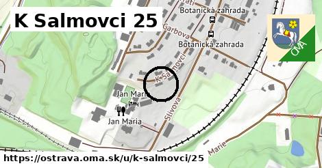 K Salmovci 25, Ostrava