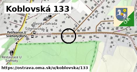 Koblovská 133, Ostrava