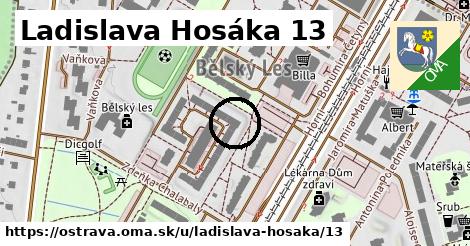 Ladislava Hosáka 13, Ostrava