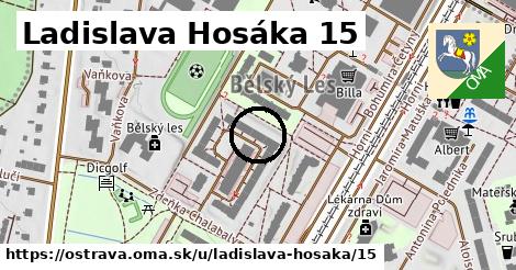 Ladislava Hosáka 15, Ostrava