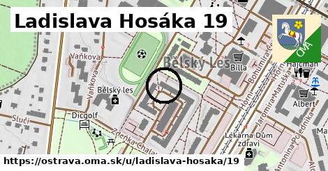 Ladislava Hosáka 19, Ostrava