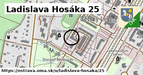 Ladislava Hosáka 25, Ostrava