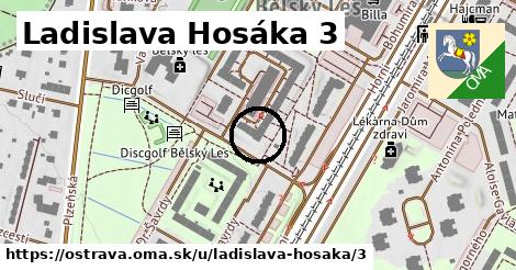 Ladislava Hosáka 3, Ostrava