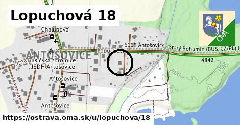 Lopuchová 18, Ostrava