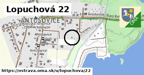 Lopuchová 22, Ostrava