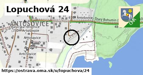 Lopuchová 24, Ostrava