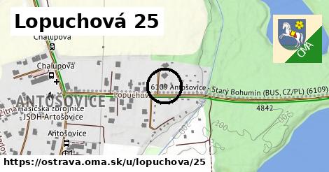 Lopuchová 25, Ostrava