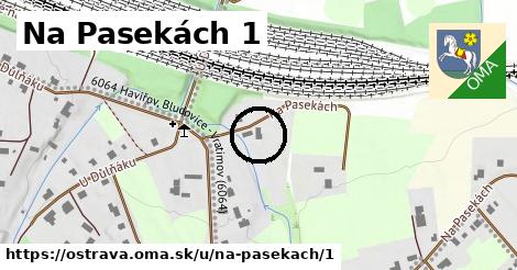 Na Pasekách 1, Ostrava