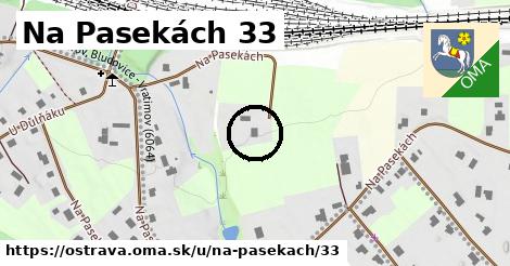 Na Pasekách 33, Ostrava