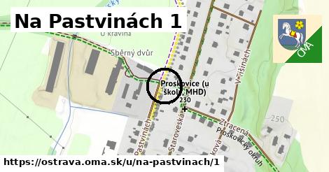 Na Pastvinách 1, Ostrava