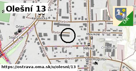 Olešní 13, Ostrava