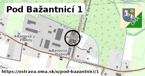 Pod Bažantnicí 1, Ostrava