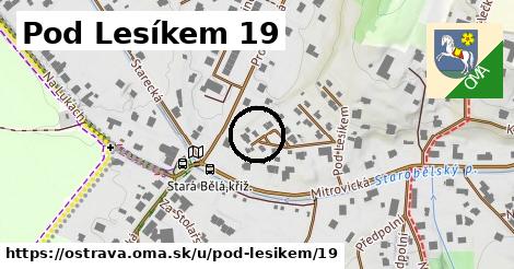 Pod Lesíkem 19, Ostrava