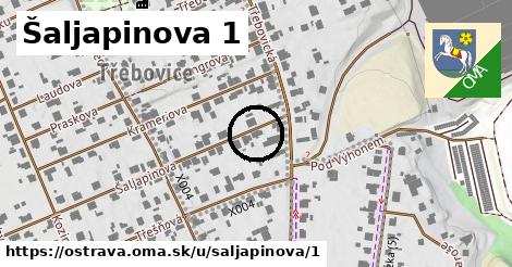 Šaljapinova 1, Ostrava