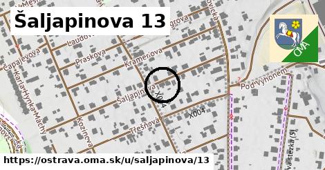 Šaljapinova 13, Ostrava