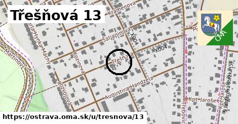 Třešňová 13, Ostrava