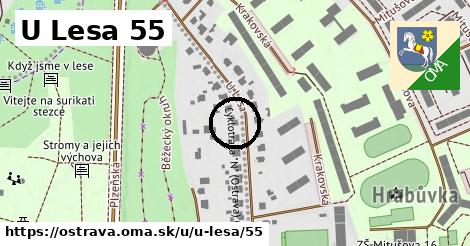 U Lesa 55, Ostrava