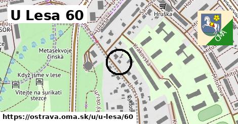 U Lesa 60, Ostrava