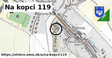 Na kopci 119, Otnice