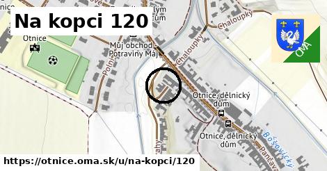 Na kopci 120, Otnice