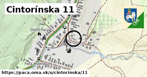 Cintorínska 11, Pača