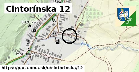 Cintorínska 12, Pača