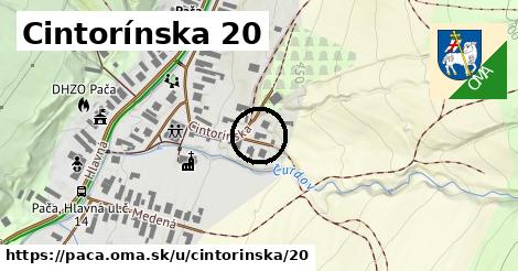 Cintorínska 20, Pača