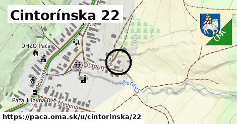 Cintorínska 22, Pača