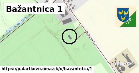 Bažantnica 1, Palárikovo