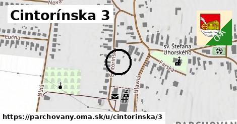 Cintorínska 3, Parchovany