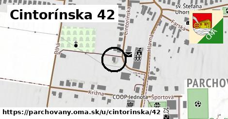 Cintorínska 42, Parchovany