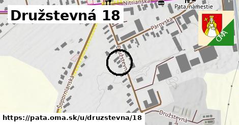 Družstevná 18, Pata