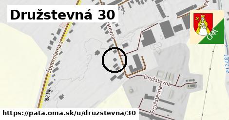 Družstevná 30, Pata