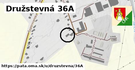 Družstevná 36A, Pata