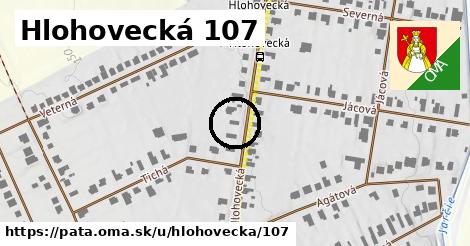 Hlohovecká 107, Pata