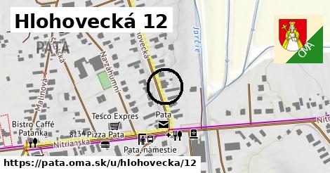 Hlohovecká 12, Pata