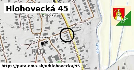 Hlohovecká 45, Pata