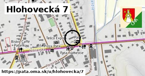 Hlohovecká 7, Pata