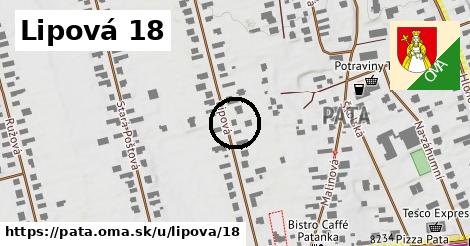 Lipová 18, Pata